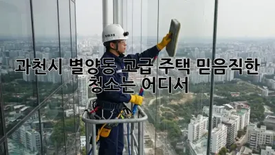 과천시 별양동 고급 주택, 믿음직한 청소는 어디서?